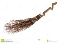 witches-broom-14974800.jpg