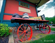 5-28-16 N.Olm 10mm   9.1sm.jpg