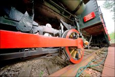 5-28-16 N.Olm 10mm   13.jpg
