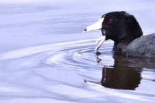 saw awww DSC_3809 -1.jpg