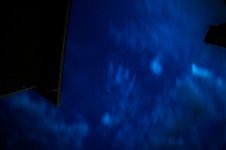 DSC_3408.jpg
