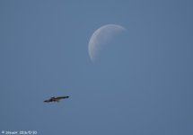 DSC_5470.jpg