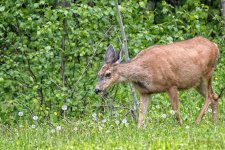IVA_3544-Edit.jpg