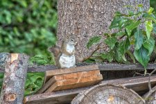 IVA_3546-Edit.jpg