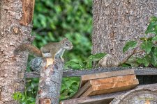 IVA_3547-Edit.jpg