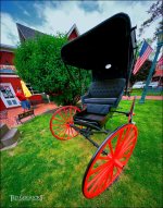 5-28-16 N.Olm 10mm   23.jpg