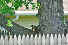DSC_0878 nxd.jpg