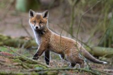 DSC_1165.jpg