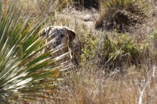 june chlg smpl-5-29-16_D7K3644.jpg
