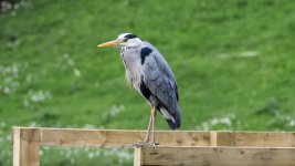 June 01, 2016-0001-Edit-2.jpg