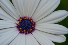 DSC_3821.jpg