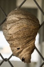 ype-roof.jpg