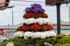 DSC_3680.jpg
