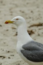 20160421-VFA_9828.jpg