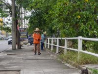 walk-around_7.jpg