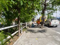 walk-around_13.jpg