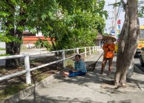 walk-around_14.jpg