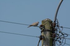 DSC_2151.jpg