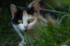 DSC_2171.jpg