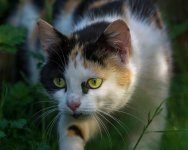 DSC_2198.jpg