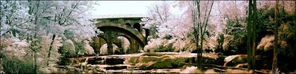 6-4-16 Berea Falls IR  9.2sm.jpg