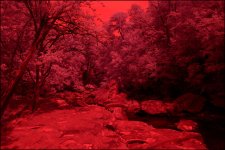 6-4-16 Berea Falls IR  10.4.jpg