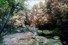 6-4-16 Berea Falls IR  10.3sm.jpg