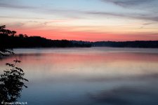 DSC_5562.jpg