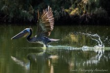 DSC_3264.jpg