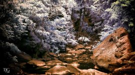 6-4-16 Berea Falls IR  11.2sm.jpg