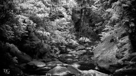 6-4-16 Berea Falls IR  11.2BWsm.jpg