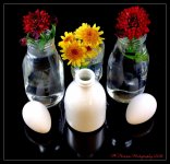 Eggs, Milk, and Flowers  6-5-2016.jpg