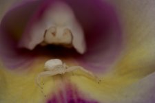 DSC_7670.jpg