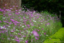 DSC_0045_Garden_23.jpg