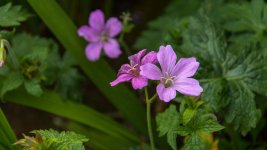 June 04, 2016-0022-Edit.jpg
