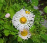DSCN9944.jpg