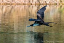DSC_3474.jpg