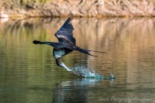 DSC_3475.jpg