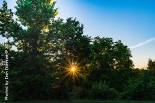 untitled-8563.jpg