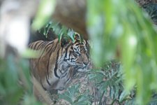 DSC_1124.jpg