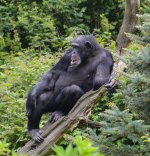 DSC_0075.jpg