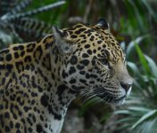 DSC_0168.jpg