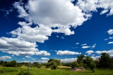600_6990.jpg