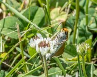 DSC_4405.jpg