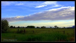 Bear River Field 6-11-2016.jpg