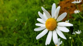 20160611_075442-Edit.jpg