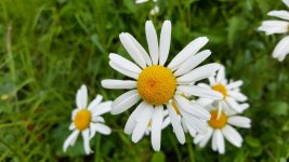 20160611_075518-Edit.jpg