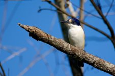 DSC_7769.jpg