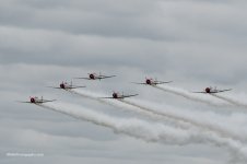 P6120153-2.jpg