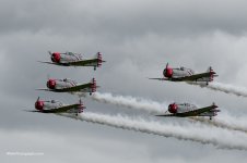 P6120161.jpg